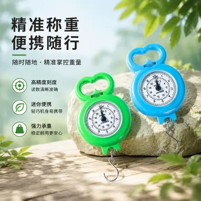 Portable spring scale household pocket scale travel shopping