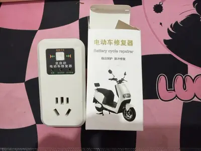 Electric Bicycle Battery Activator Charger, Fully Automatic, Extends Battery Life - 8