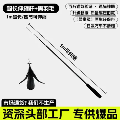 Long Retractable Cat Teaser Wand with Detachable Pole - 10