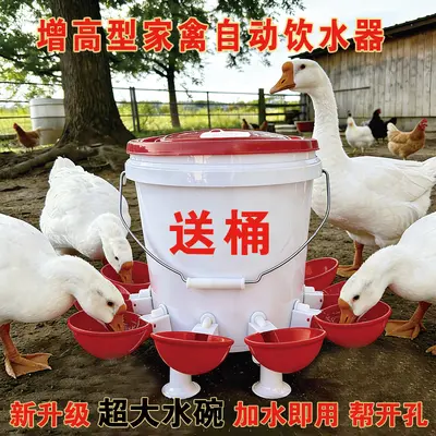 Elevated Automatic Waterer for Chickens, Ducks and Geese