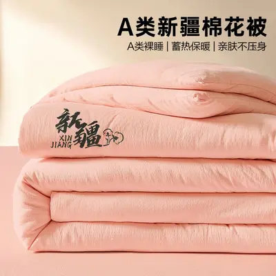 Xinjiang Cotton Quilt, Thickened Single Size, Four-Season - 10