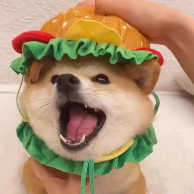 Kedi ve köpekler için hamburger şapkası, komik kostüm
