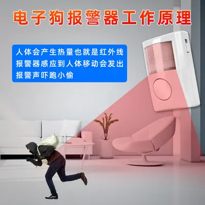 Anzhiyi Infrared Anti-Theft Alarm, Door and Window Motion Sensor