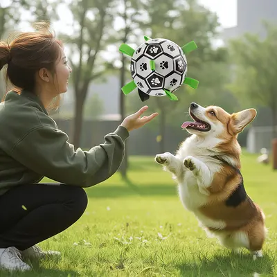 Bite-Resistant Dog Ball Toy for Border Collie, Labrador and Corgi - 3