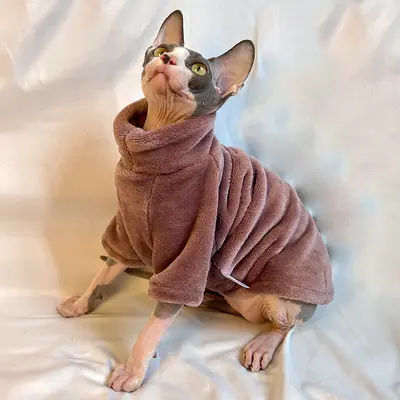 Thickened Autumn-Winter Clothing for Hairless Cats, Fleece-Lined