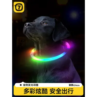 Aufladbares LED-Halsband für Hunde und Katzen