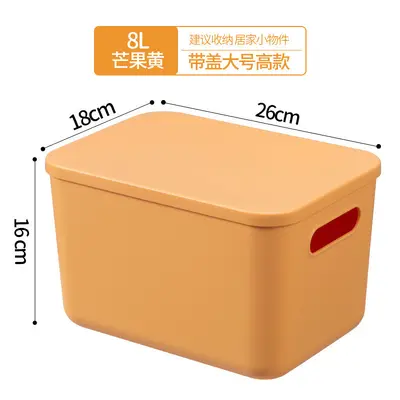 Plastic Storage Box, Large Capacity - 13