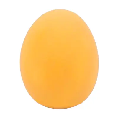 Squeaky Simulated Egg Toy for Dogs and Cats, Training Toy - 5