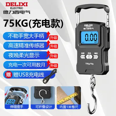 Delixi portable electronic scale - 11