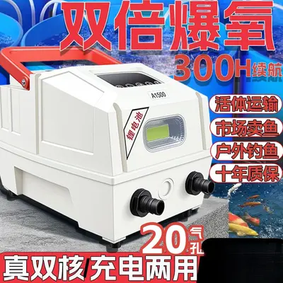 Rechargeable Outdoor Oxygen Pump, Lithium Battery, AC/DC Dual Power - 1