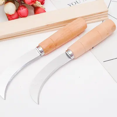 Pineapple and banana knife, curved blade, peeling and seed removal