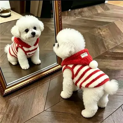 Kapüşonlu Köpek Yeleği, Kalın, Sıcak, Küçük Irk