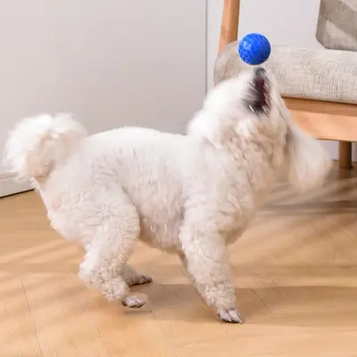 Eysenka Squeaky Dog Ball Toy, Bite-Resistant Chew Toy for Teeth