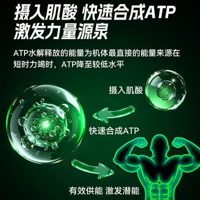 UP训练怪兽肌酸一水锌镁肌酸粉增耐力爆发力运动健身增肌补剂粉