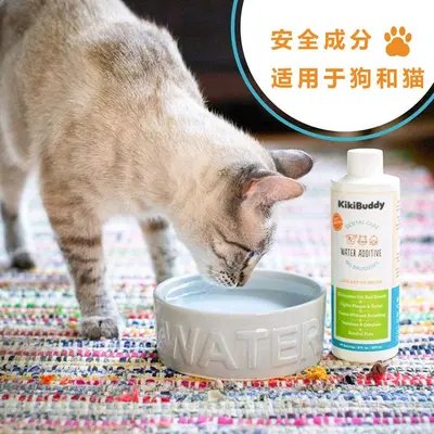 Edible Pet Oral Care Water Additive, Teeth Cleaning, Antibacterial