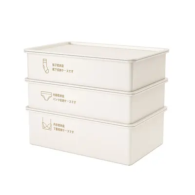 Underwear and sock storage box, 3-compartment