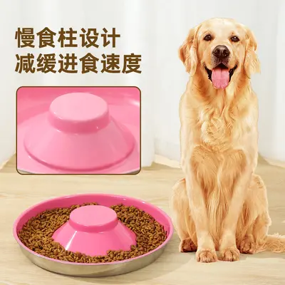 Anti-Choking Slow Feeding Dog and Cat Bowl, Non-Tip