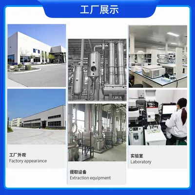 豌豆蛋白粉85%豌豆提取物豌豆分离蛋白食品级营养强化剂厂家直供