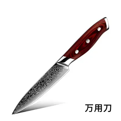 67-schichtiges Damaszener-Stahl-Küchenmesserset für den Heimgebrauch, Fleischmesser, Kochmesser, Yangjiang mit farbigen Holzgriffen. - 10