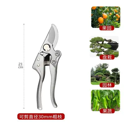 Raspberry Color SK5 Pruning Shears, for Fruit and Flower Branches - 11