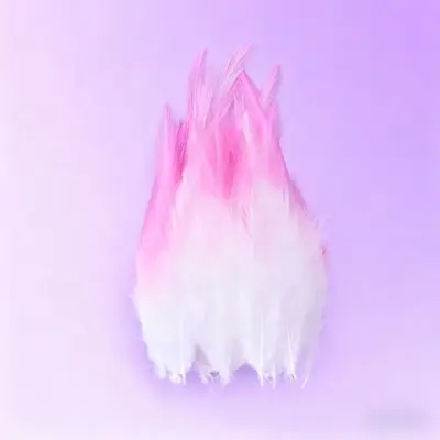 White-Tipped Two-Color Feathers, 5-6 cm, for DIY Jewelry and Cat Toys - 8