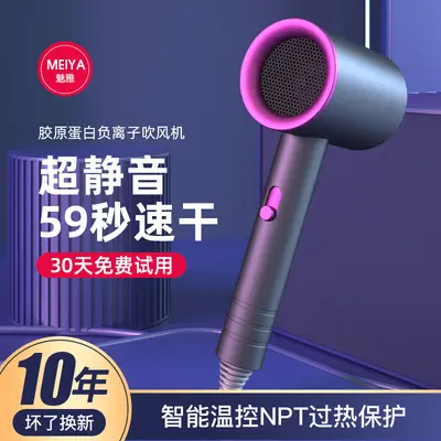 High-Power Negative Ion Quiet Hair Dryer