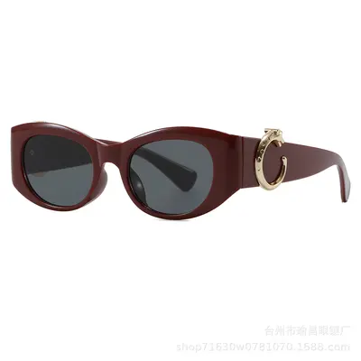 Small Frame Retro Sunglasses - 5