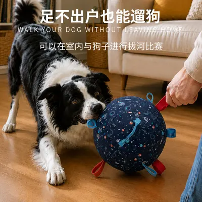 Inflatable Herding Dog Ball, Bite-Resistant Toy for Medium and Large Dogs - 4