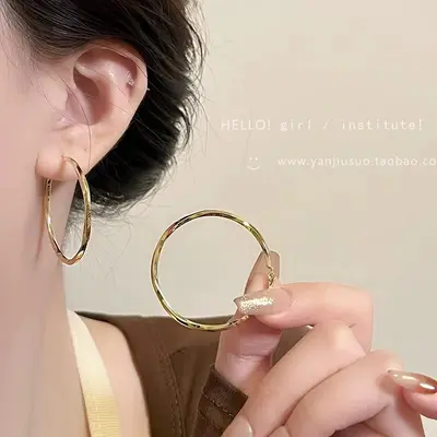 Exaggerated European and American flat hoop earrings for women, accessible luxury niche elegant, high-end earrings, 925 silver needle hot style earrings wholesale - 10