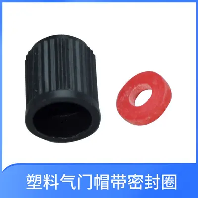 Plastic Car Valve Stem Cap, Electric Bicycle and Motorcycle Tire Dust Cap - 8