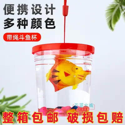 Transparentes Kunststoff-Betta-Aquarium Schildkrötenbecken - 7