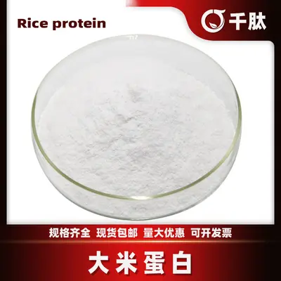大米蛋白 大米蛋白粉食品水解蛋白粉原料大米提取物