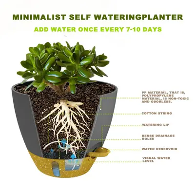 Manufacturer Wholesale Cross-Border Best-Selling Amazon Self-Watering Visible Water Level Plastic Flower Pot for Balcony Courtyard Golden Pothos Aloe Vera
