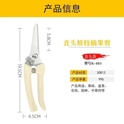 Florist Scissors, Pruning Shears for Flower Arrangements and Bonsai - 10