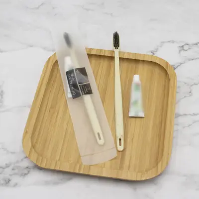 Disposable Hotel Toothbrush and Toothpaste Amenity Set - 7