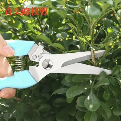 Florist scissors for flower arrangements, pruning shears, garden pruning branches, flower branches, bonsai flowers, fruit picking tool