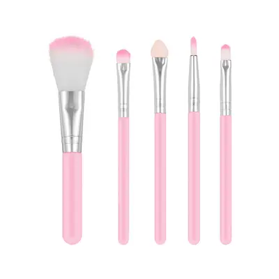 Grenzüberschreitender Make-up-Pinsel-Set, Foundation-Pinsel, Lidschatten-Pinsel, Rouge-Pinsel, Beauty-Tools, tragbares kleines Set, Original vom Hersteller Großhandel