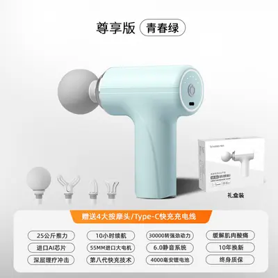 Mini Home Muscle Massage Gun, Portable, Gift Suitable - 8