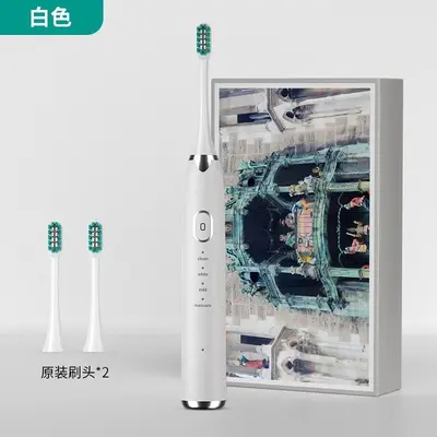 Rechargeable sonic electric toothbrush for adults - 12