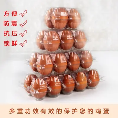 Transparent Plastic Egg Carton, Disposable, 10-Piece, for Chicken, Pigeon, Duck and Quail