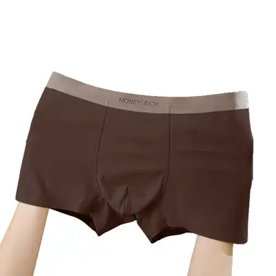 Erkek boxer, buz ipeği, dikişsiz, nefes alabilen, yaz için serin hissi