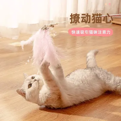 Retractable Cat Teaser Wand with Bell and Replaceable Head - 3