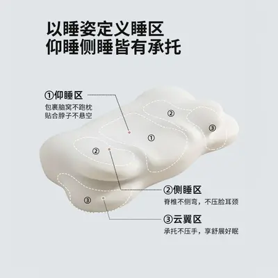Cervical Spine Memory Foam Neck Pillow Pair - 2