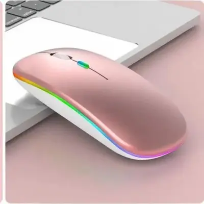 Kaynak Fabrikası RGB Çift Modlu Kablosuz Dizüstü Bilgisayar Faresi Düşük Gürültülü Type-C Şarj Stokta Toptan - 12