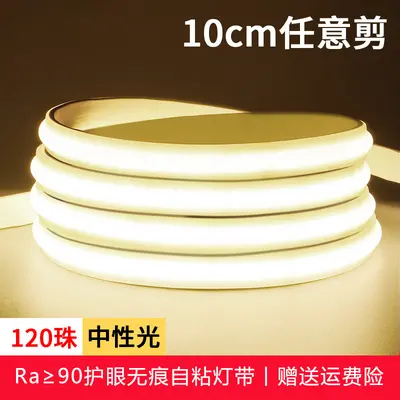 cob灯带超亮LED家用高压220V自粘吊顶硅胶工程户外工地防水软灯条 - 9