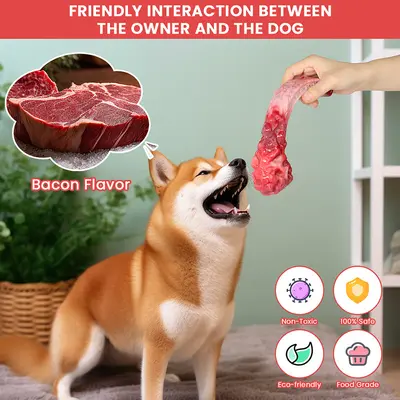 Nylon Dog Chew Toy, Steak Shape, Beef Flavour - 5