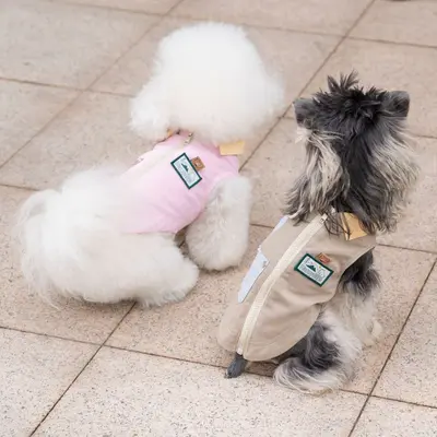 Hunde- und Katzenjacke, waschbar, Frühling und Sommer