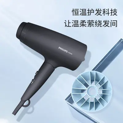 Philips BHD315 Foldable Hair Dryer with Negative Ion Technology