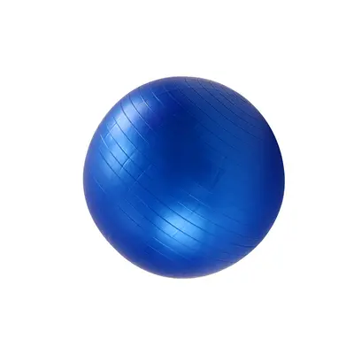 PVC Kalın Mat Yoga Topu 55 cm 65 cm 75 cm Fitness Topu - 9