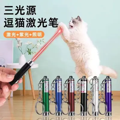 Lazerli Kedi Oyuncağı, Kızılötesi İnteraktif Taşınabilir Kedi Teaser